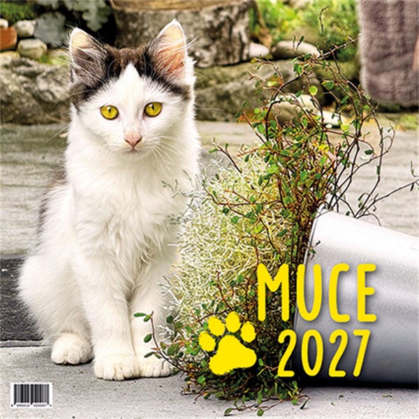 Muce 2027