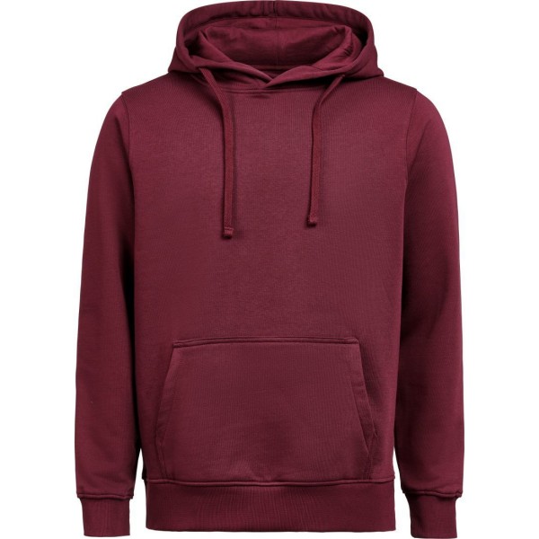 Unisex organic Hoodie Untagged Movement OCS RCS Hoodie