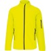 Fluorescent Yellow