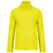 Fluorescent Yellow