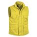 Lemon yellow