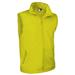 Neon Yellow