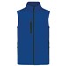 Dark Royal Blue