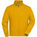 Gold Yellow