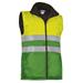 Neon Yellow/Apple Green