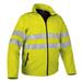 Neon Yellow