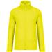 Fluorescent Yellow