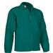 Amazon Green