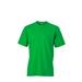 Fern Green