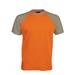 Orange/Light Grey