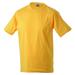 Gold Yellow