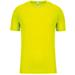 Fluorescent Yellow