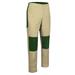 Beige/Bottle Green