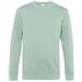 Aqua Green