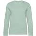 Aqua Green