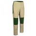 Beige/Bottle Green