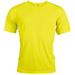 Fluorescent Yellow