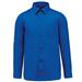 Light Royal Blue