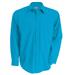 Bright Turquoise