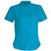 Bright Turquoise